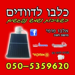 כלבו לדוודים