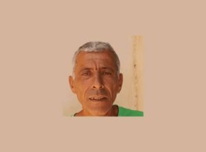 לוי ע.ד שיפוצים